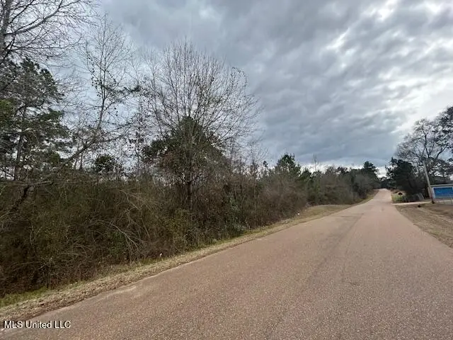 Oak Street, Gloster, MS 39638 - #2