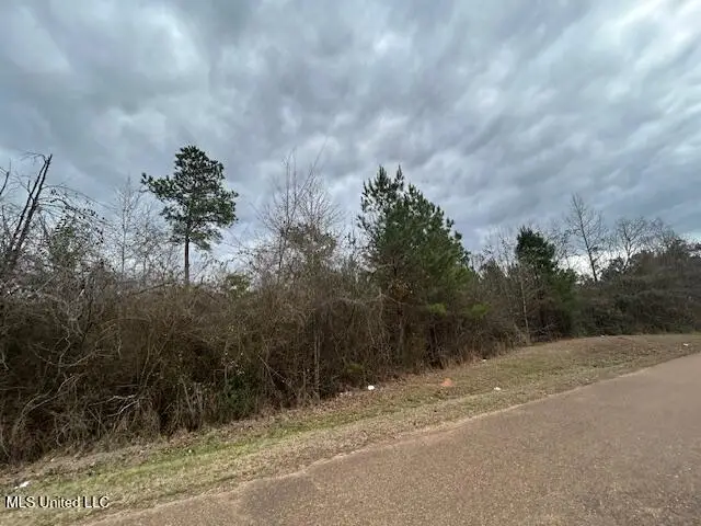 Oak Street, Gloster, MS 39638 - #3