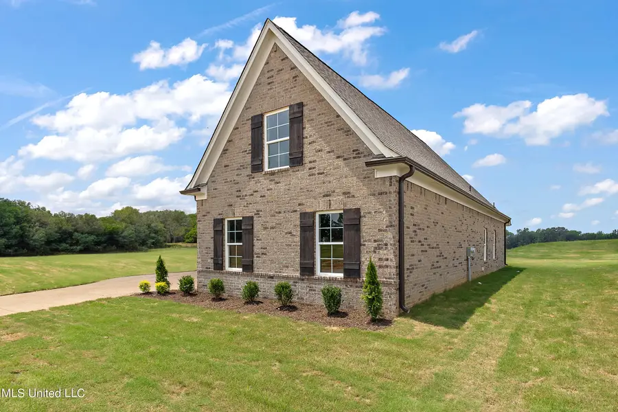 6343 Jameson Cove, Walls, MS 38680 - #2