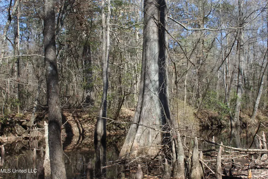 2194 Brandi Road, Summit, MS 39666 - #3