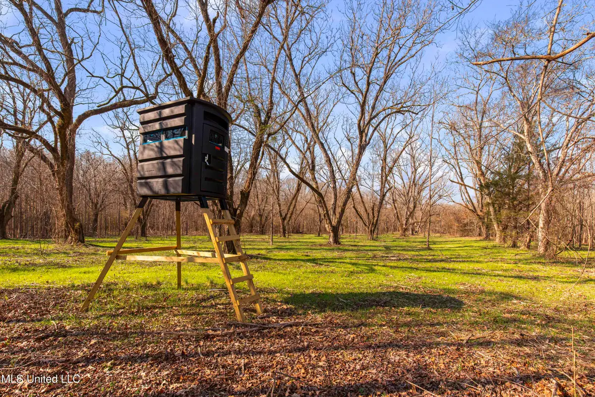 0186 Potluck Road, Canton, MS 39046 - #1