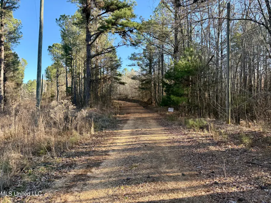 Triplett Ingram Road, Louisville, MS 39339 - #2