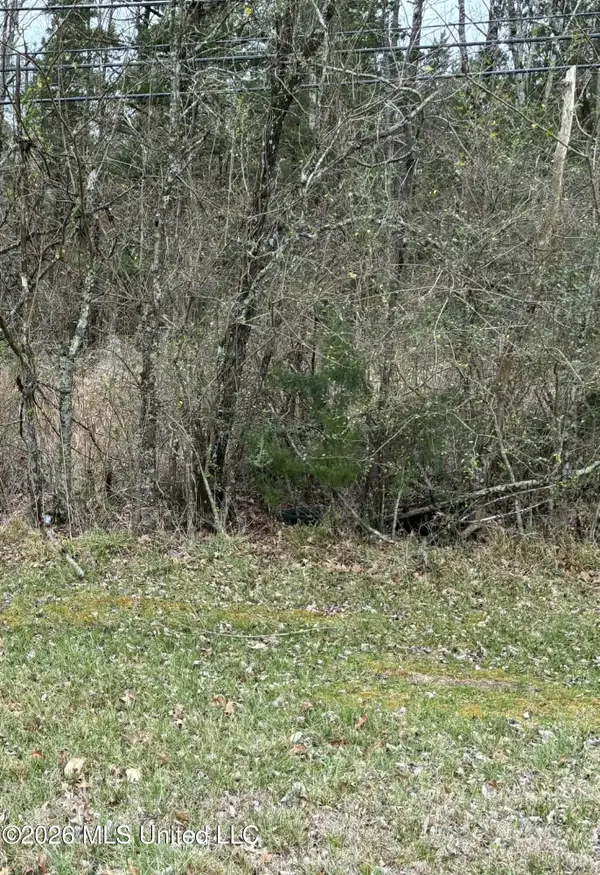 Old Vicksburg Rd Road, Clinton, MS 39056