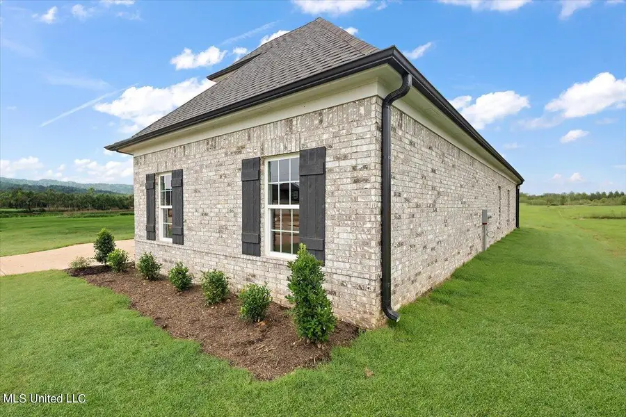 6510 Benjamin Cove, Walls, MS 38680 - #3