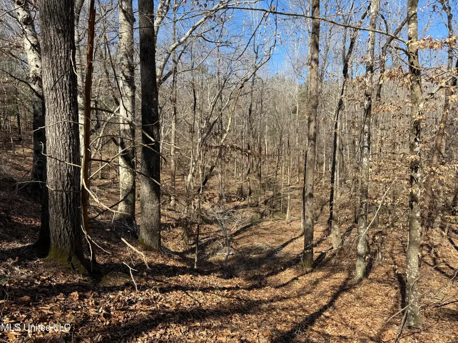 County Road 186, Coffeeville, MS 38922 - #3