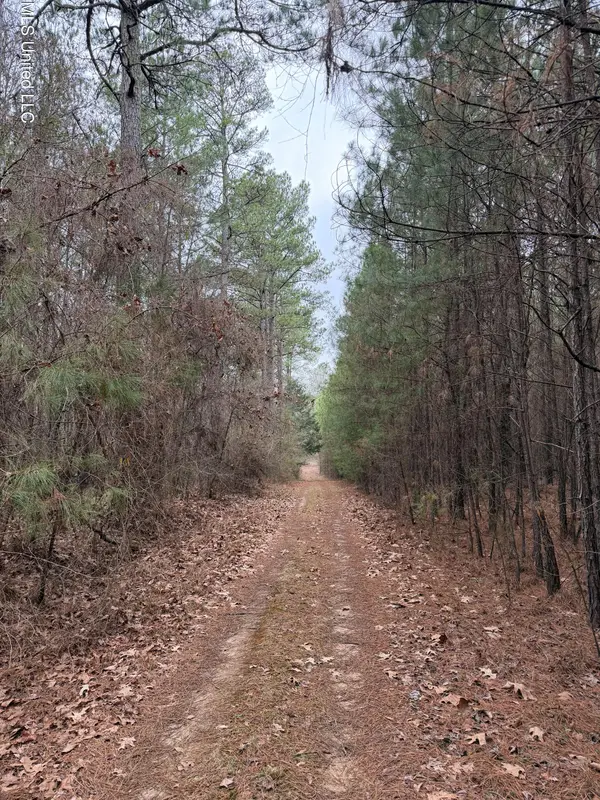 Bodka Valley Road, Scooba, MS 39358
