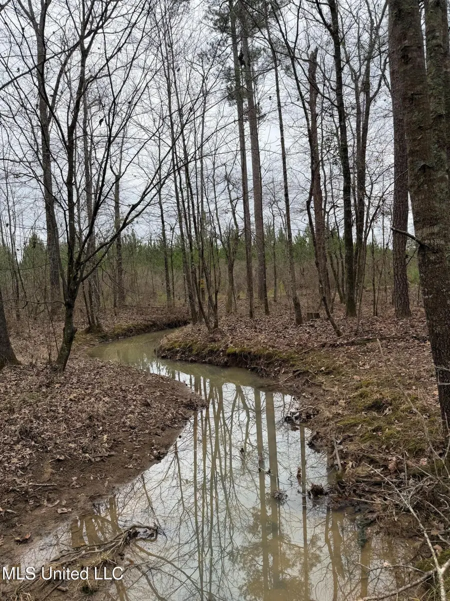 Bodka Valley Road, Scooba, MS 39358 - #3