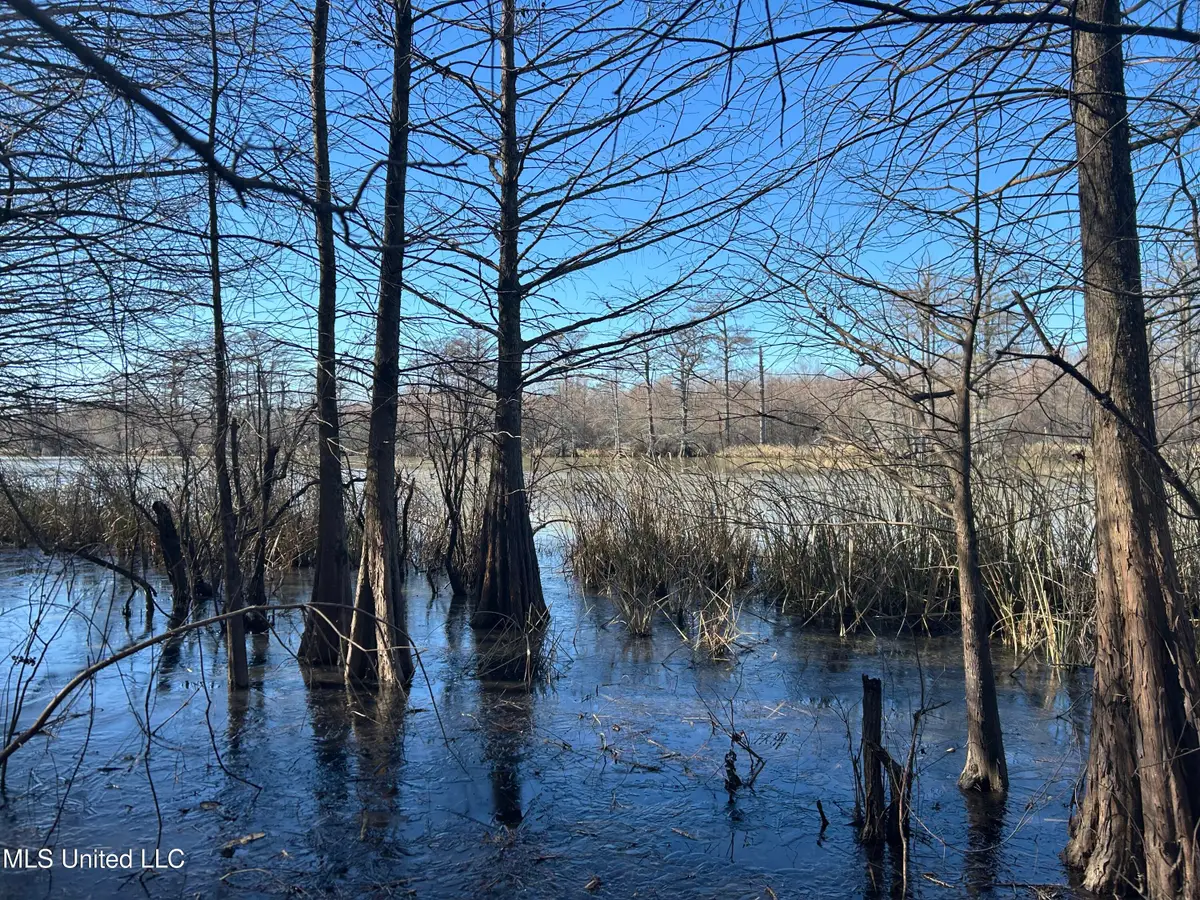 S Old Highway 61, Dundee, MS 38626 - #1