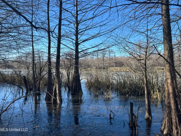 S Old Highway 61, Dundee, MS 38626