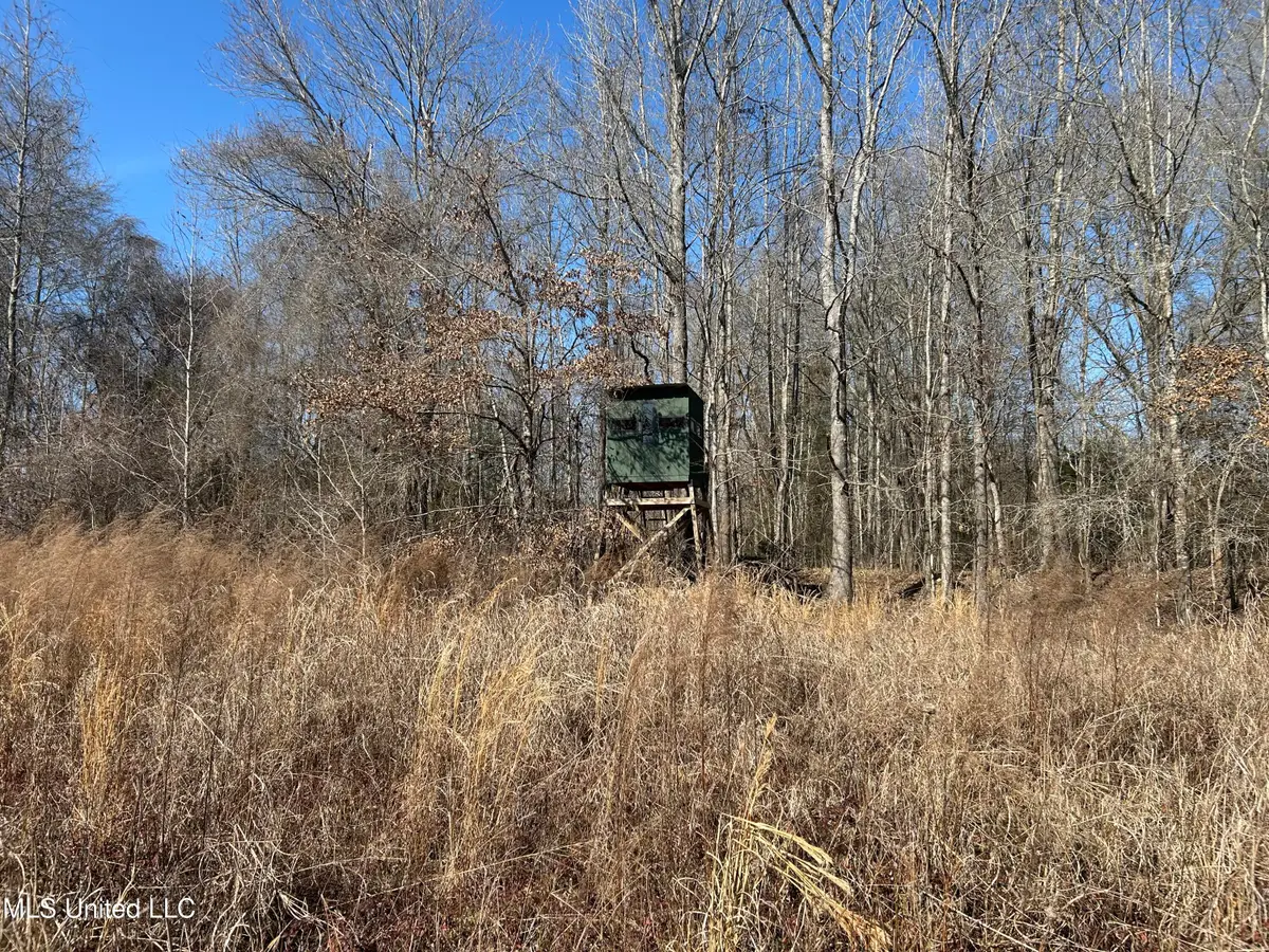 1296 Scotland Road, Bentonia, MS 39040 - #1