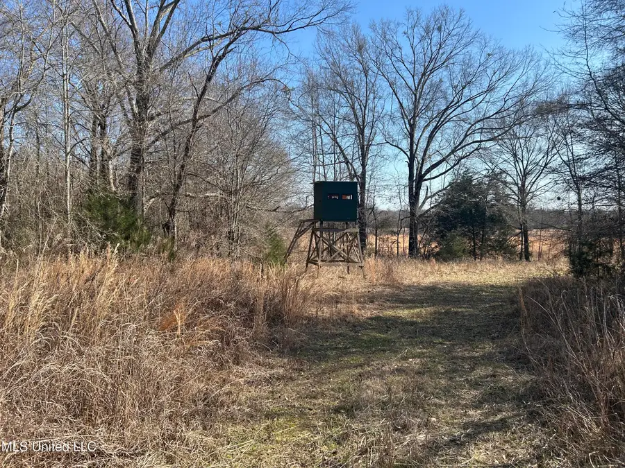 1296 Scotland Road, Bentonia, MS 39040 - #2