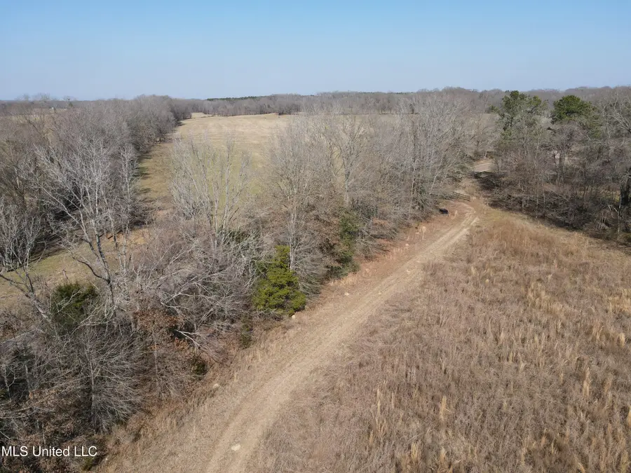 1296 Scotland Road, Bentonia, MS 39040 - #3