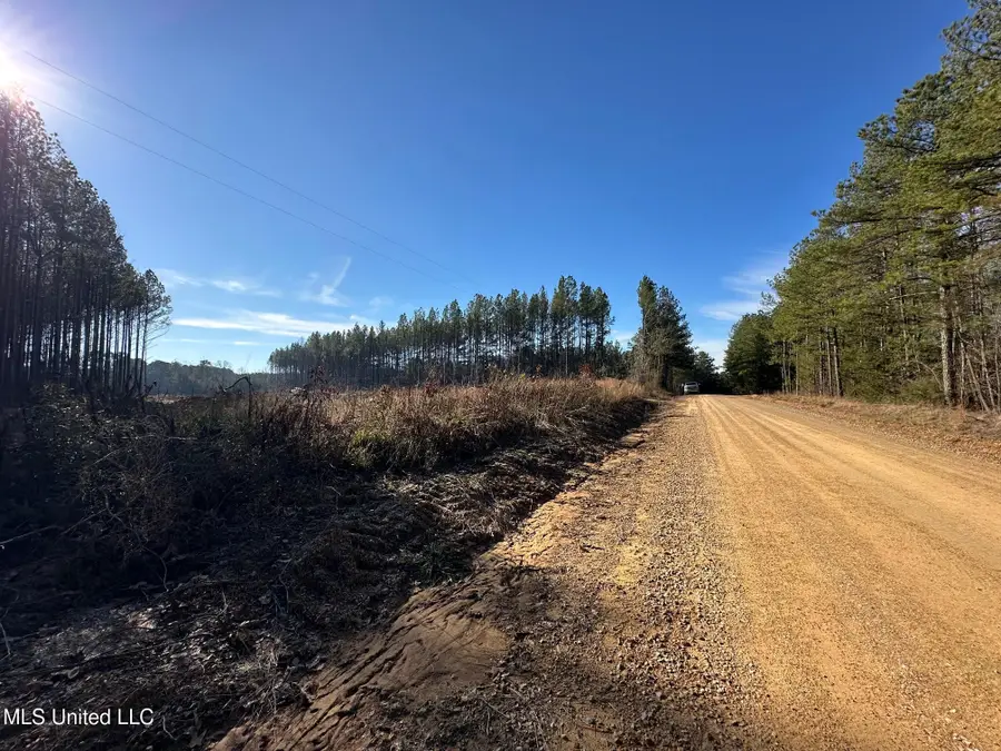 2 Old Pickens Rd, Kosciusko, MS 39090 - #2