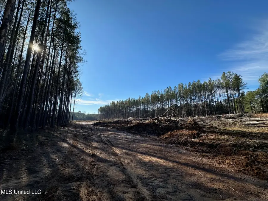 2 Old Pickens Rd, Kosciusko, MS 39090 - #3