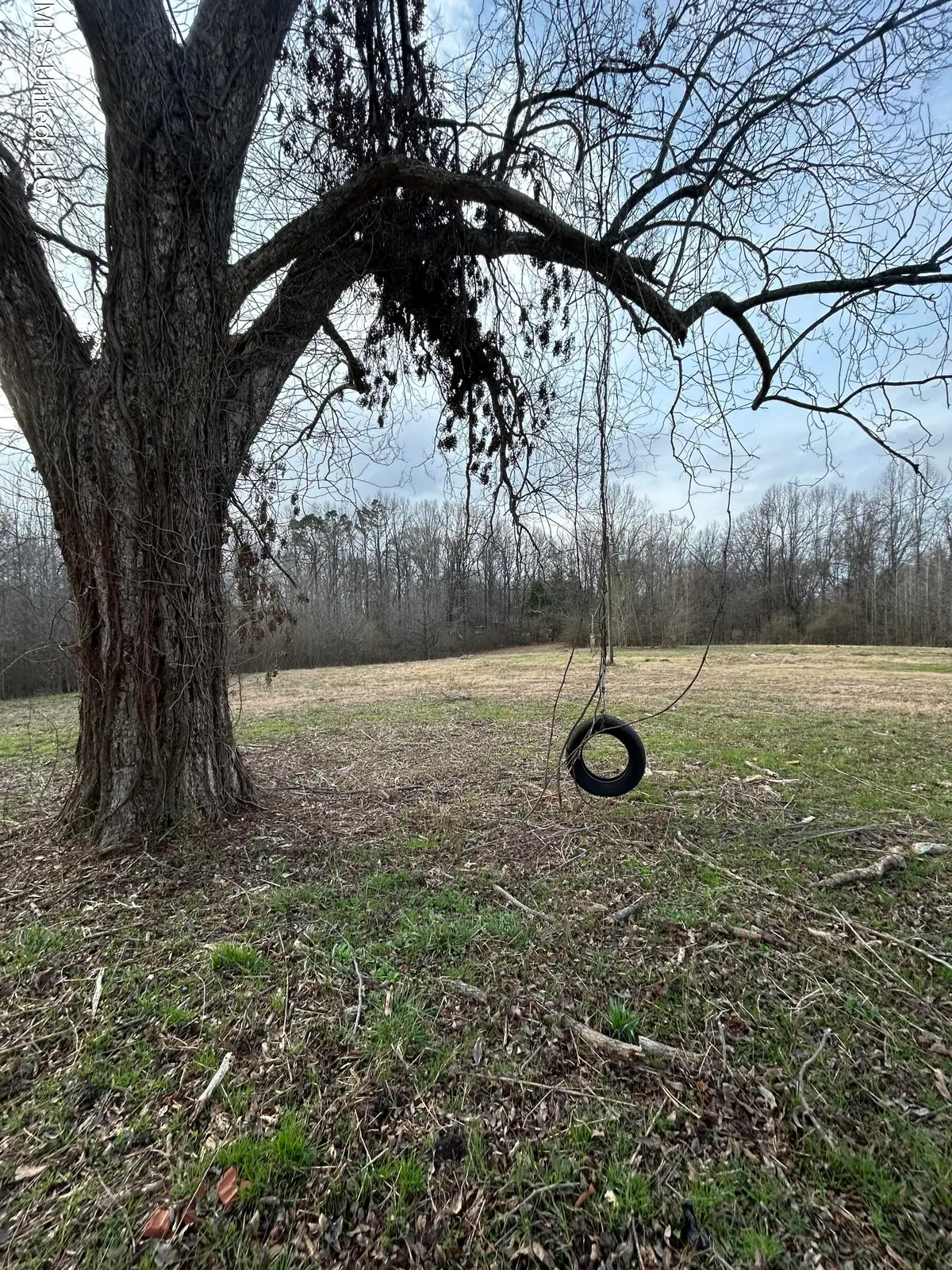 9943 W Commerce Street, Hernando, MS 38632 - #1