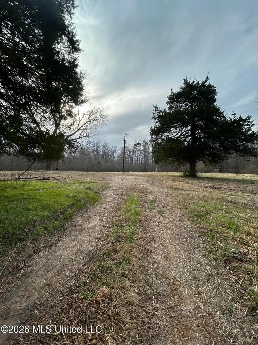9943 W Commerce Street, Hernando, MS 38632 - #2
