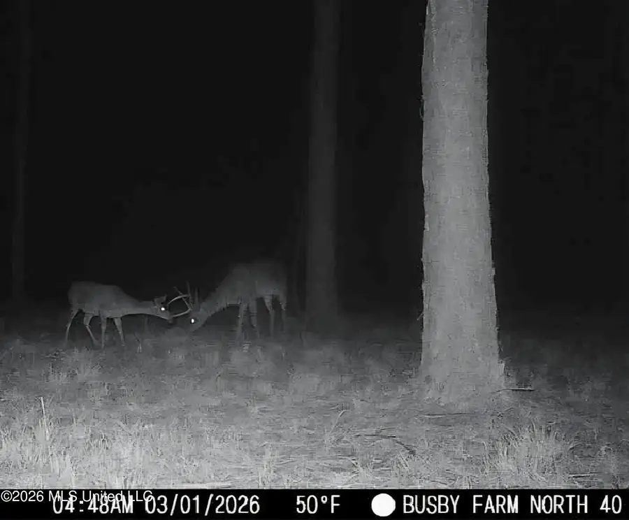 U.s. Highway 51, Bogue Chitto, MS 39629 - #3