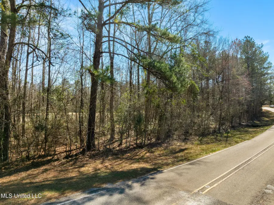 7.26 Acres Lott Town Road, Hattiesburg, MS 39402 - #3