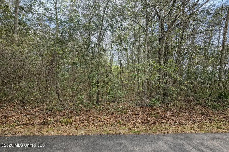 Lot 4 Live Oak Avenue, Ocean Springs, MS 39564 - #2