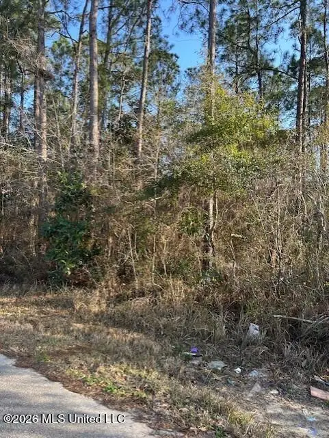 Petunia Road, Gautier, MS 39553 - #2