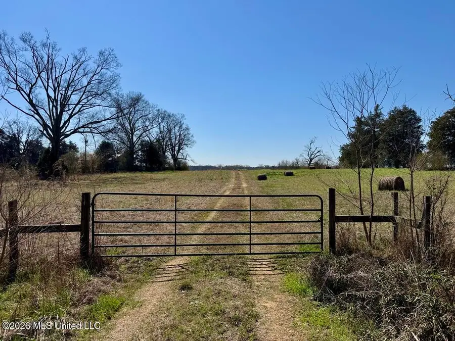1055 Jenkins Road, Terry, MS 39170 - #3