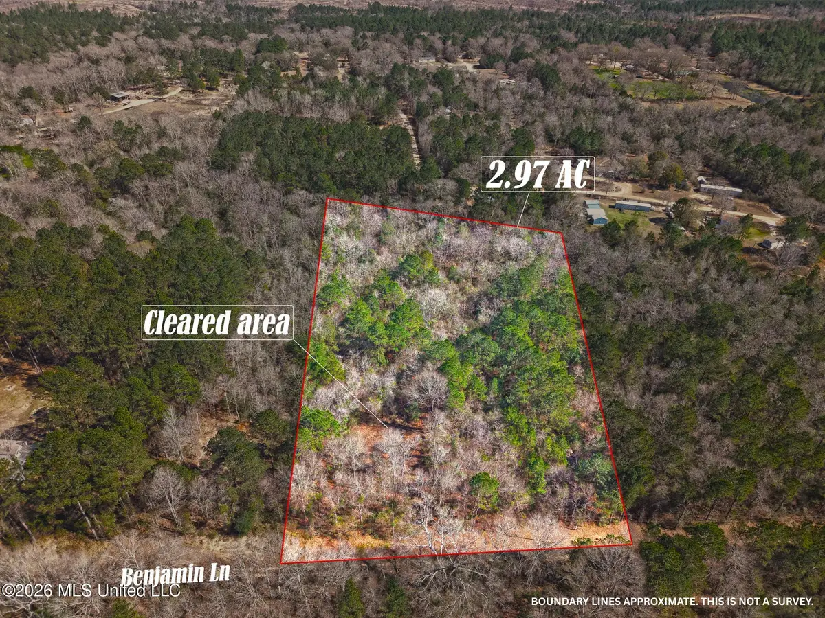 Lot 2 Benjamin Lane, Poplarville, MS 39470 - #1
