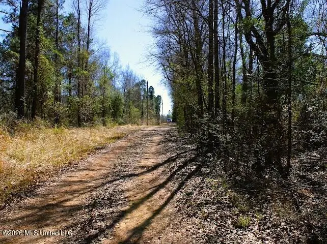 Lot 2 Benjamin Lane, Poplarville, MS 39470 - #2