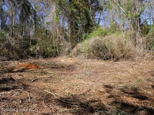 Lot 2 Benjamin Lane, Poplarville, MS 39470 - #3
