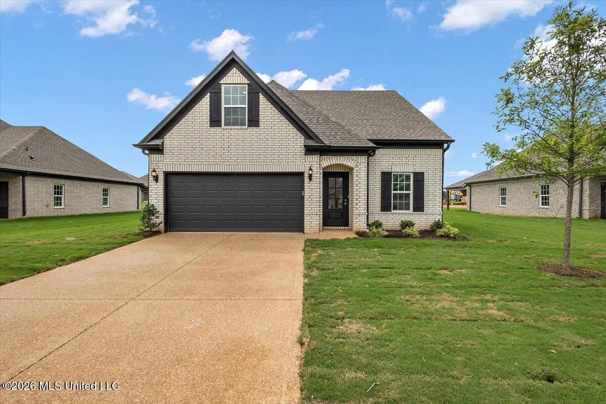 13854 Molly Madeline Lane, Olive Branch, MS 38654 - #1