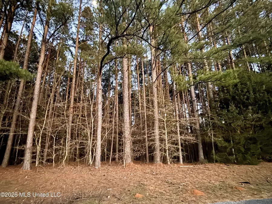 737 Road, Philadelphia, MS 39350 - #2