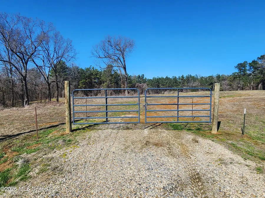 4196 Wyatte Tyro Road, Senatobia, MS 38668 - #2