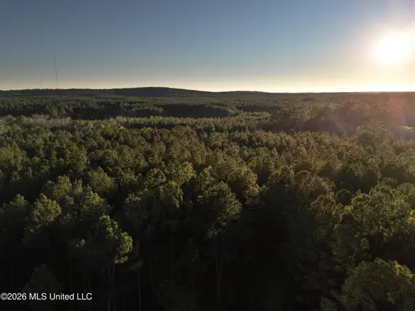 County Road 2414, Louin, MS 39338