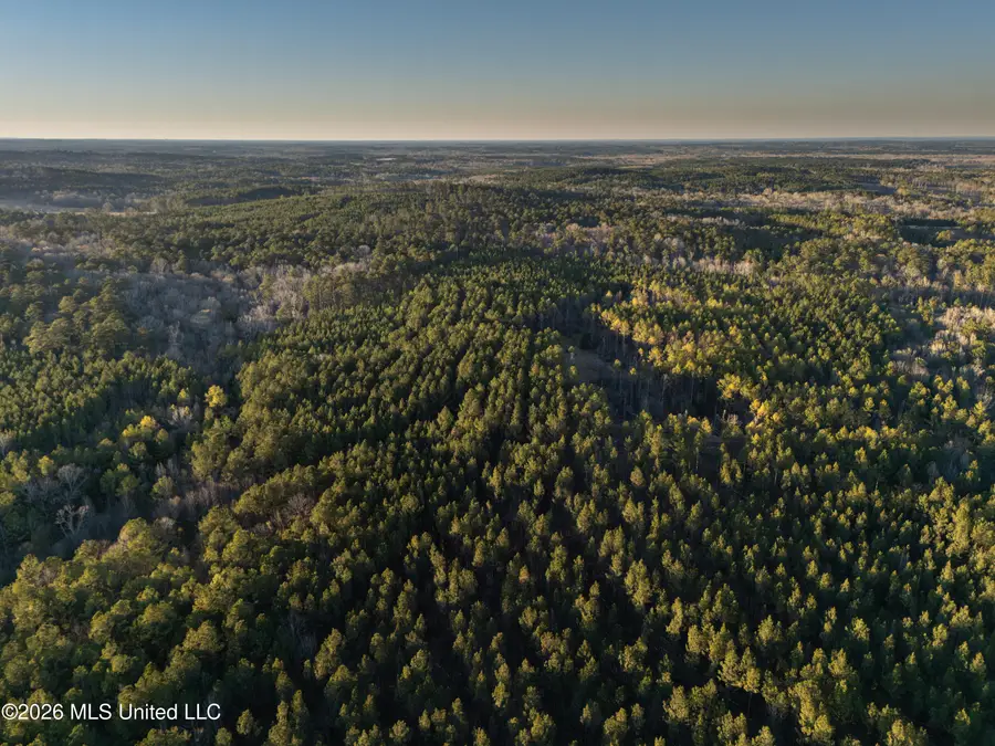 County Road 2414, Louin, MS 39338 - #2