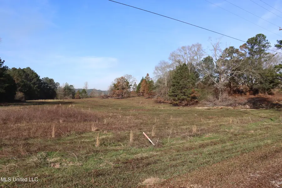 1270 Hilt Fornea Road, Poplarville, MS 39470 - #2