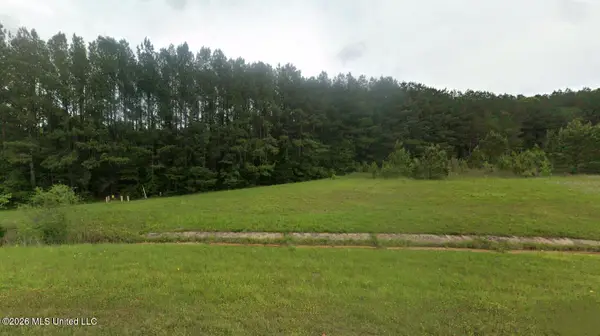 Highway 45n, Waynesboro, MS 39367