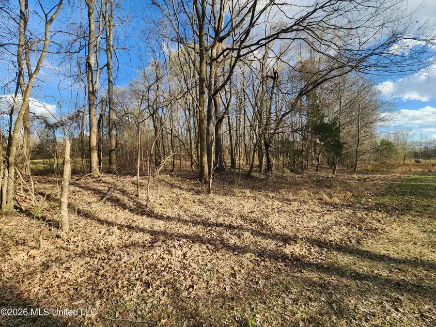 Aaron Road, Sarah, MS 38665 - #3