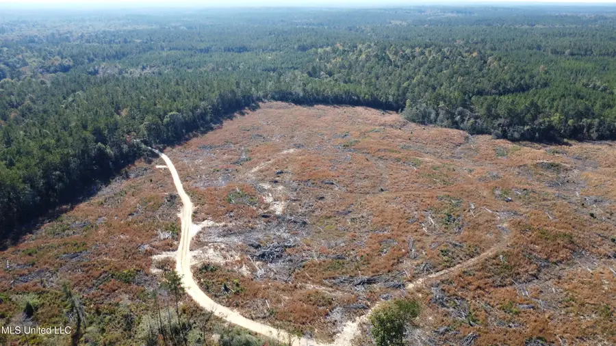 Underwood Ball Road, Leakesville, MS 39451 - #2