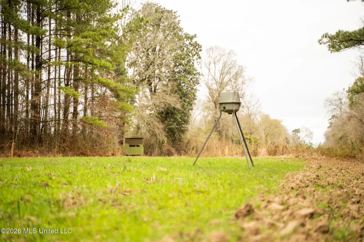 County Road 8, Laurel, MS 39443 - #1