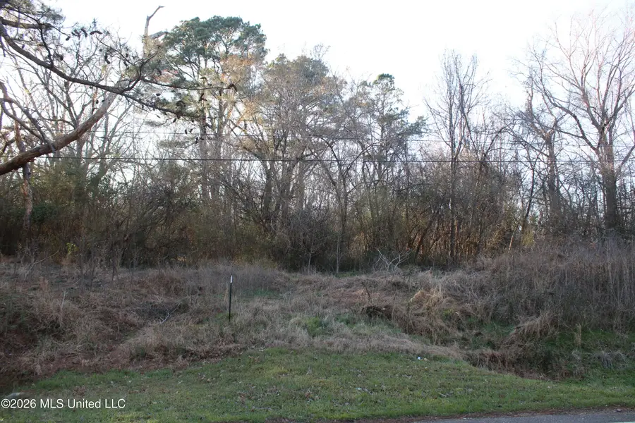 3641 Miller Road, Olive Branch, MS 38654 - #3