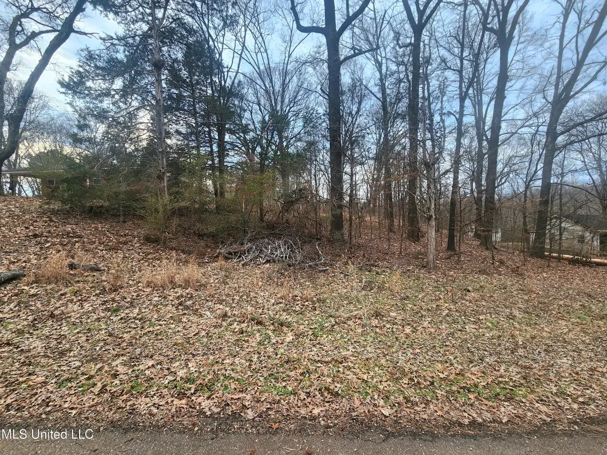 Jackson Road, Nesbit, MS 38651 - #1