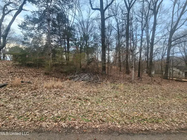 Jackson Road, Nesbit, MS 38651