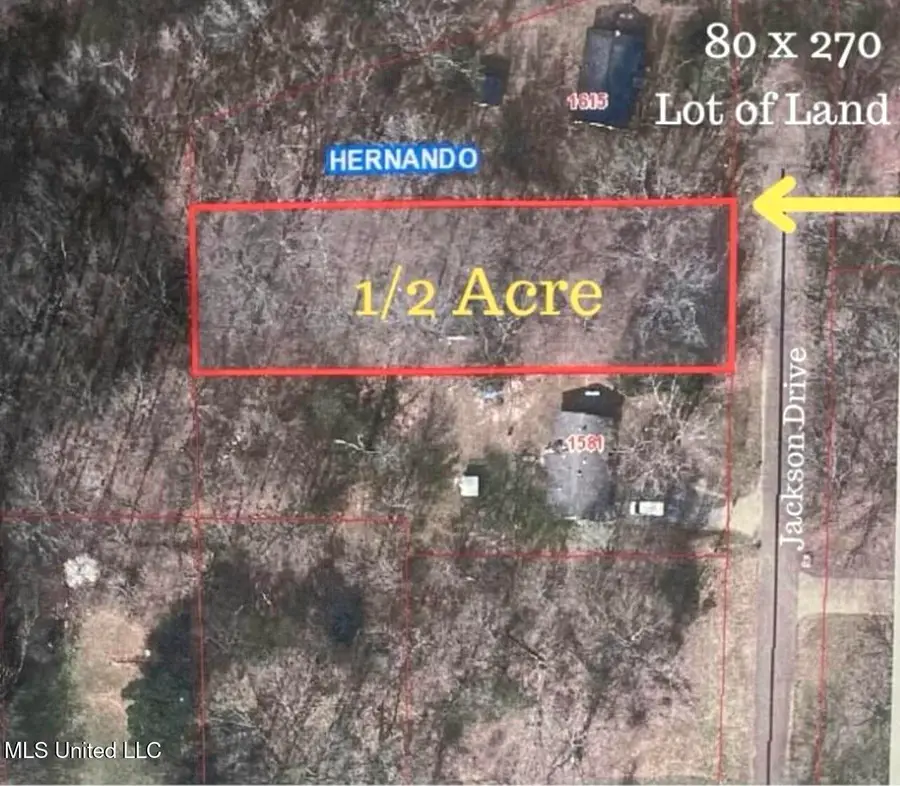 Jackson Road, Nesbit, MS 38651 - #3