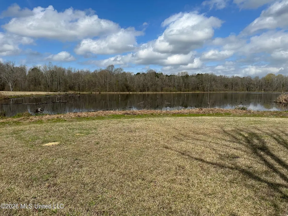 10.2 Acres Barnes Road, Florence, MS 39073 - #1