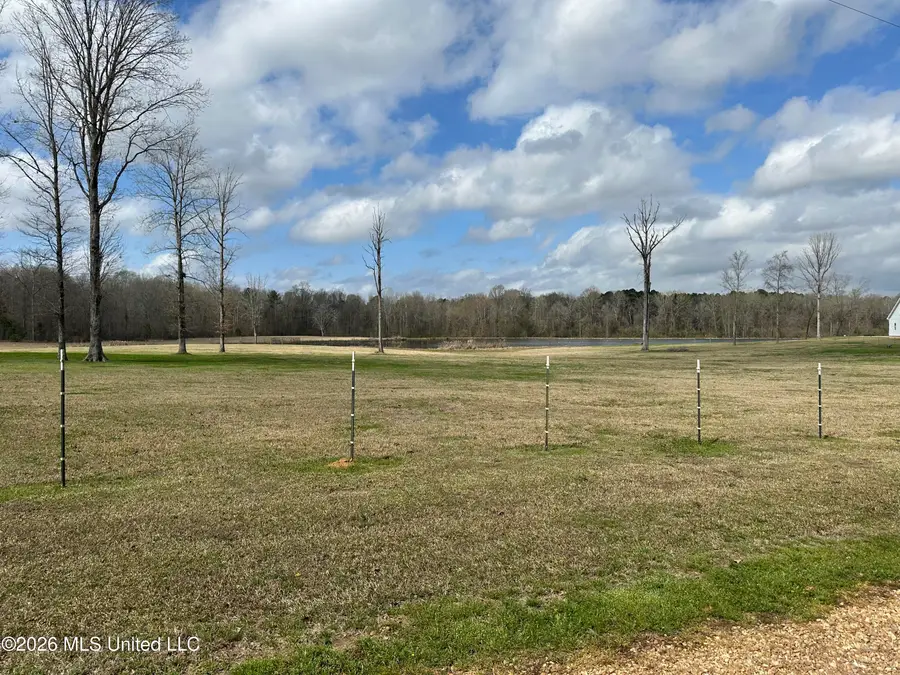 10.2 Acres Barnes Road, Florence, MS 39073 - #3
