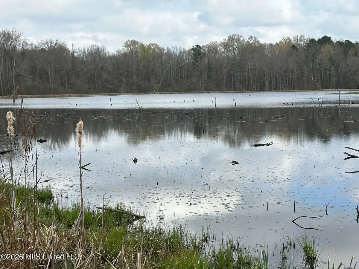 23 Acres Barnes Road, Florence, MS 39073 - #1