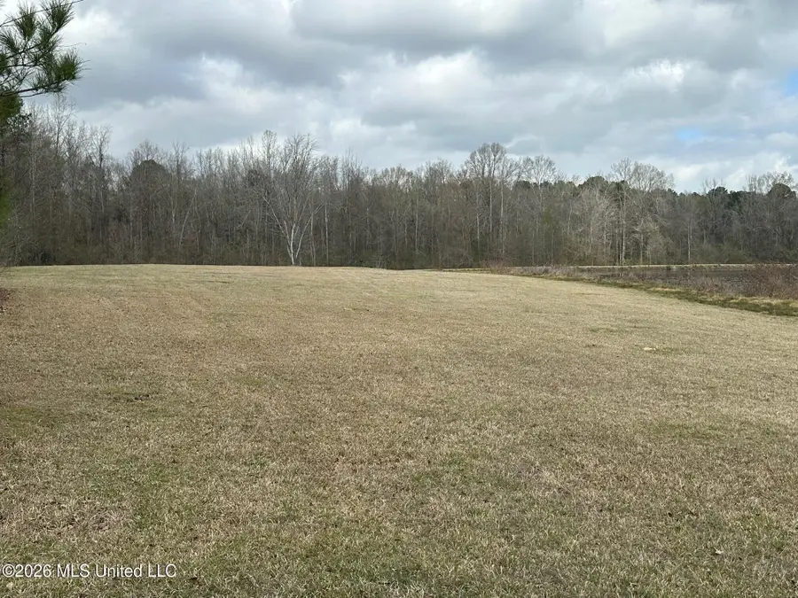 23 Acres Barnes Road, Florence, MS 39073 - #2