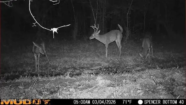 Bogue Chitto Road, Bogue Chitto, MS 39629