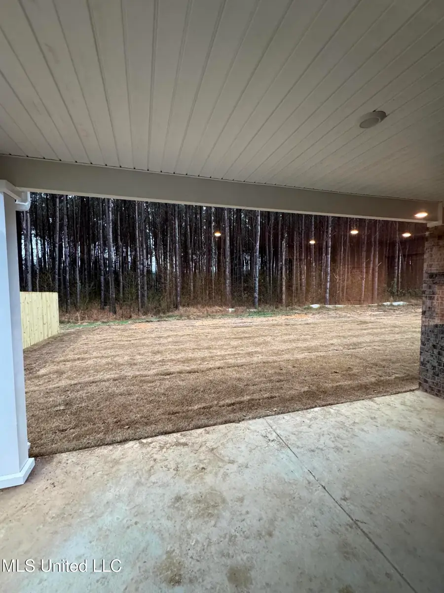 48 Spirit Dance Drive, Byhalia, MS 38611 - #3