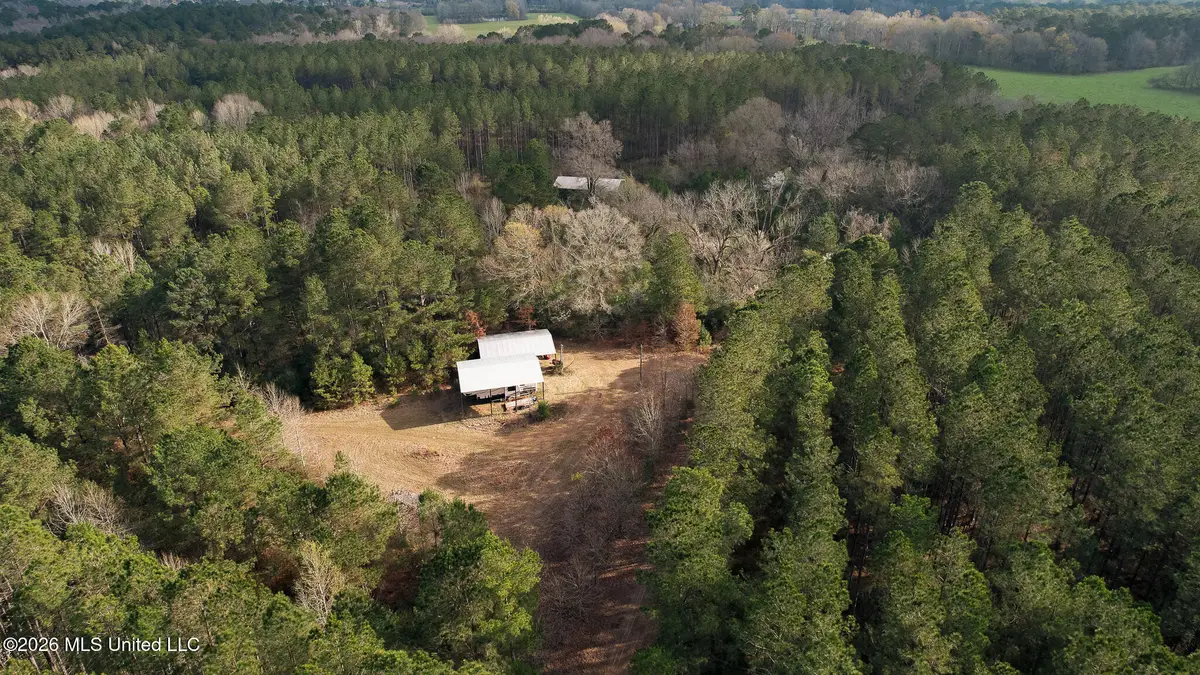 Frog Ridge Road, Jayess, MS 39641 - #1