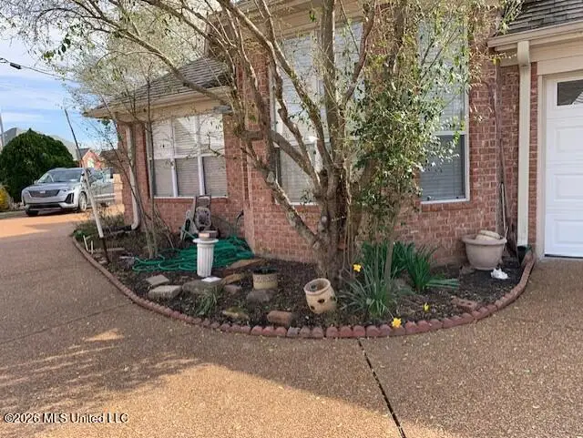 6445 Braybourne Place, Olive Branch, MS 38654 - #3